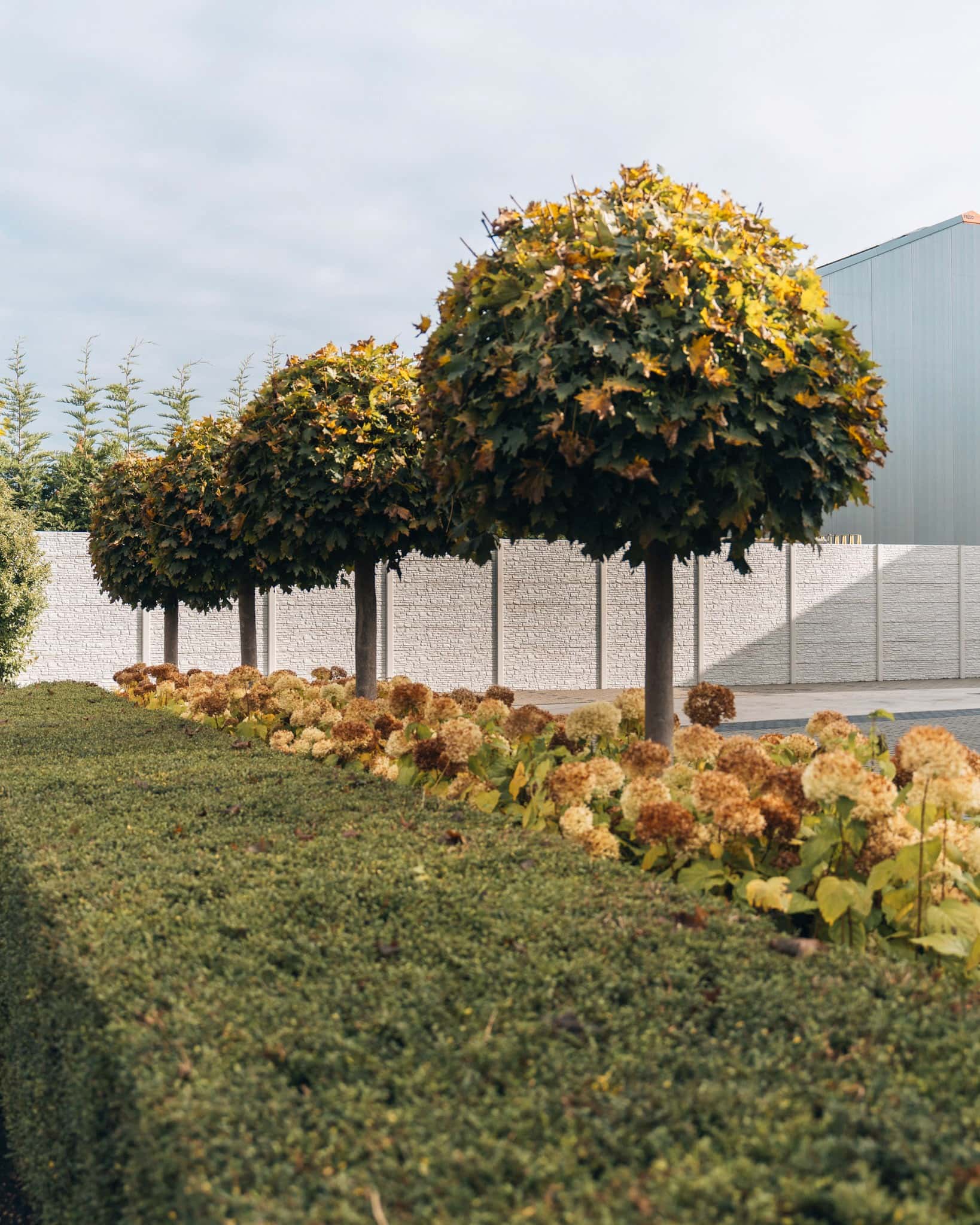 bomenrij met herfstbloemen, graffo fotografie